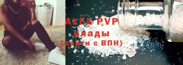 ПСИЛОЦИБИНОВЫЕ ГРИБЫ Переславль-Залесский