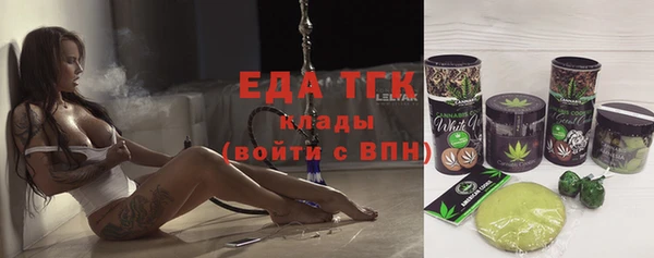 молекула духа Богданович