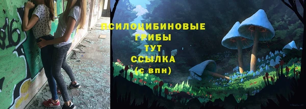 скорость Пересвет