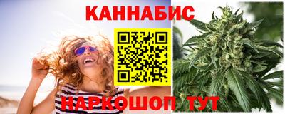 гашик Моздок