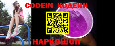 гашик Моздок