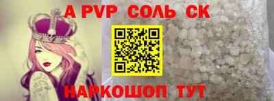 гашик Моздок