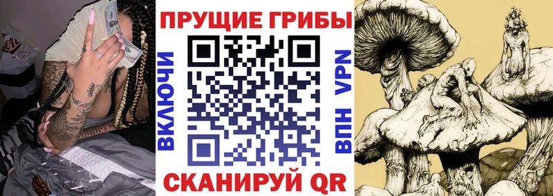 Псилоцибиновые грибы мицелий  Солнечногорск 