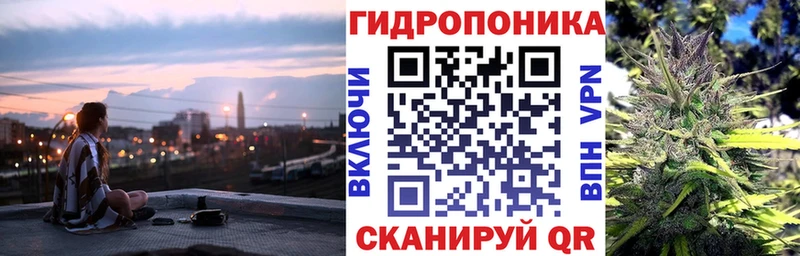 Бошки марихуана гибрид  наркошоп  Солнечногорск 